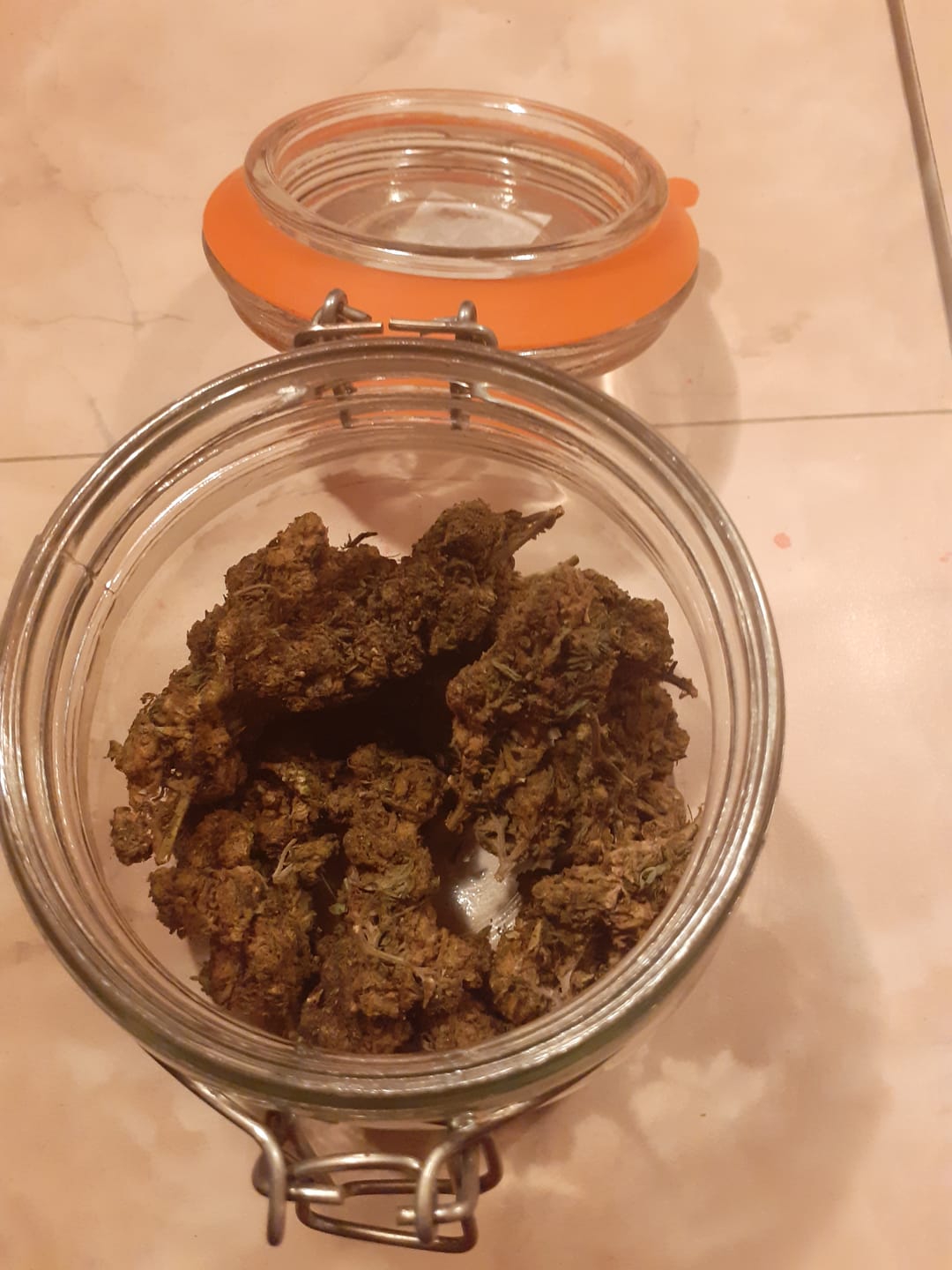 Customer photo review of Vollis Turbobud - SATIVA TURBO LVL 5/5