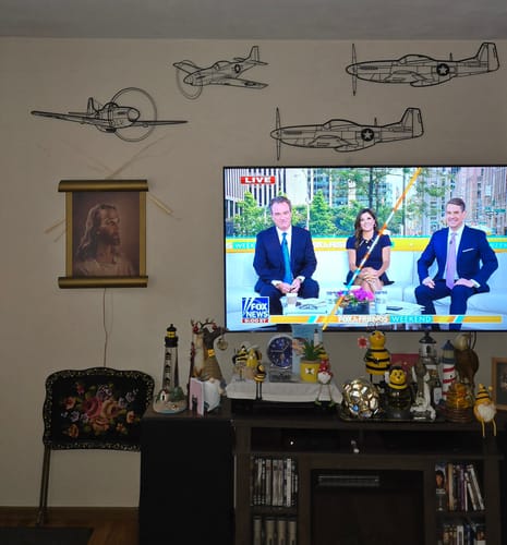 Customer photo review of P-51 Mustang Metal Aircraft Wall Art - NCP0111