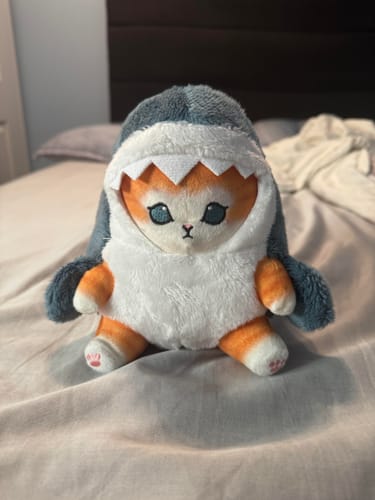 Customer photo review of Cartoon Shark Cat Doll Plush Toy Pillow
