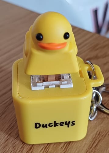 Customer photo review of Quackey - Fidget Toy that Quacks!