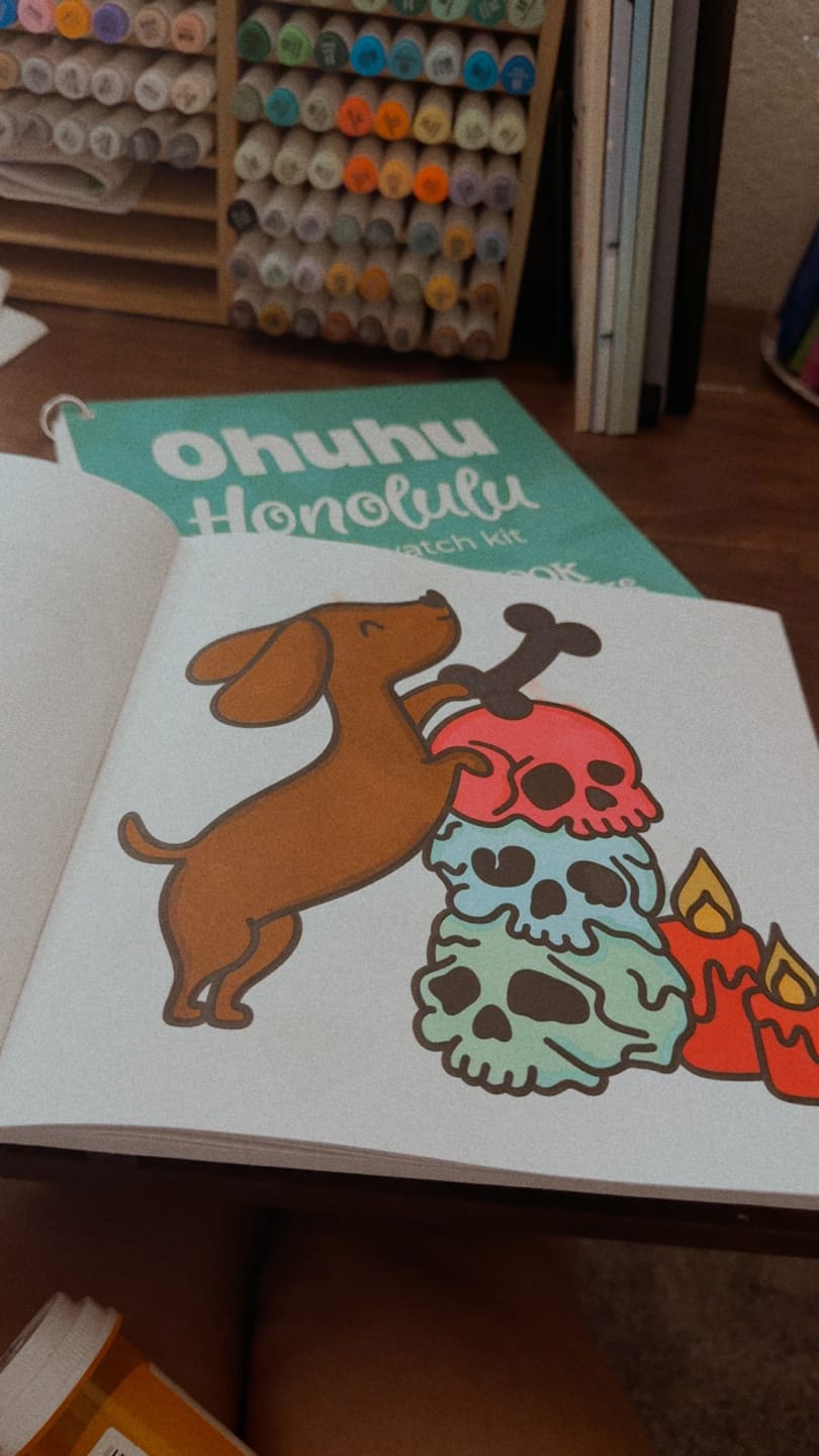 Customer photo review of 4-Pack Mystery Palette of Ohuhu Honolulu Alcohol Markers