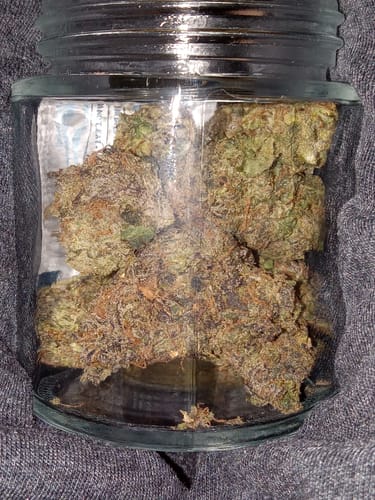 Customer photo review of Obama Runtz