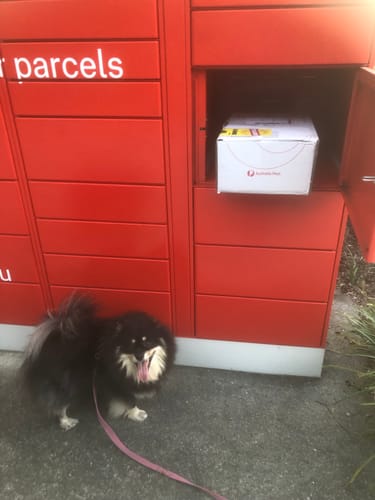 Customer photo review of Shark Tails (Assorted tails & tips)