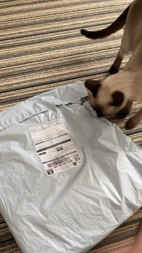 Customer photo review of Fascia Elastica Portaoggetti Premium