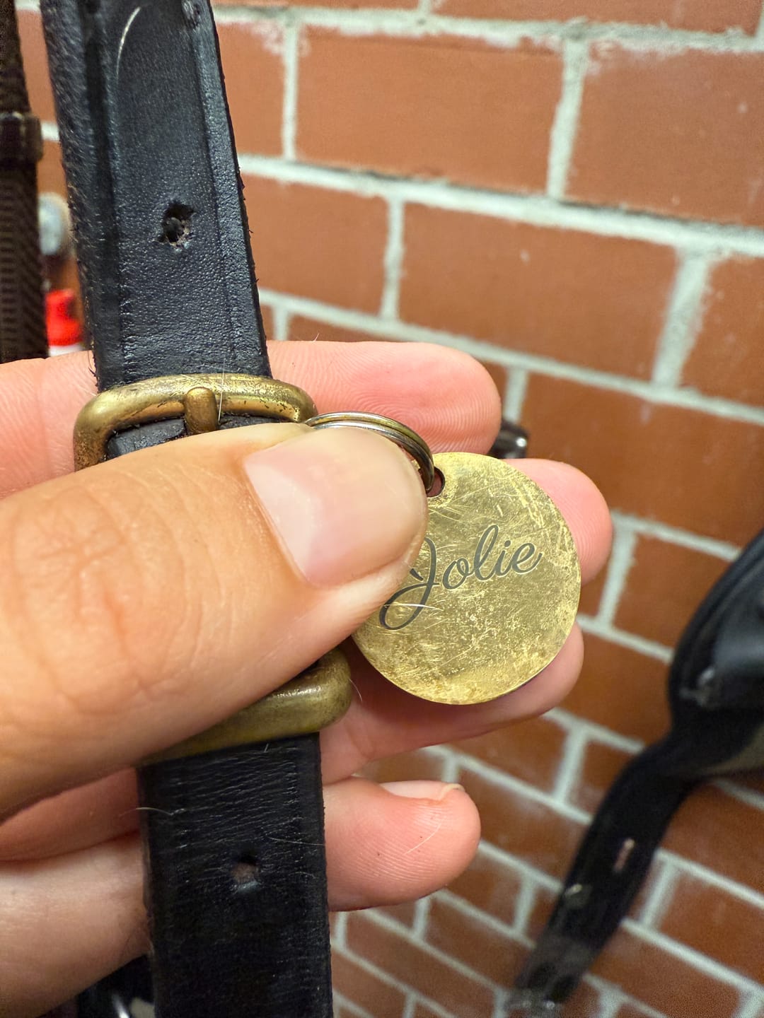 Customer photo review of Runde Hundemarke mit Gravur, Name und Telefon personalisiert