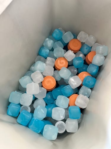 Customer photo review of FOREVER FREEZE BAG