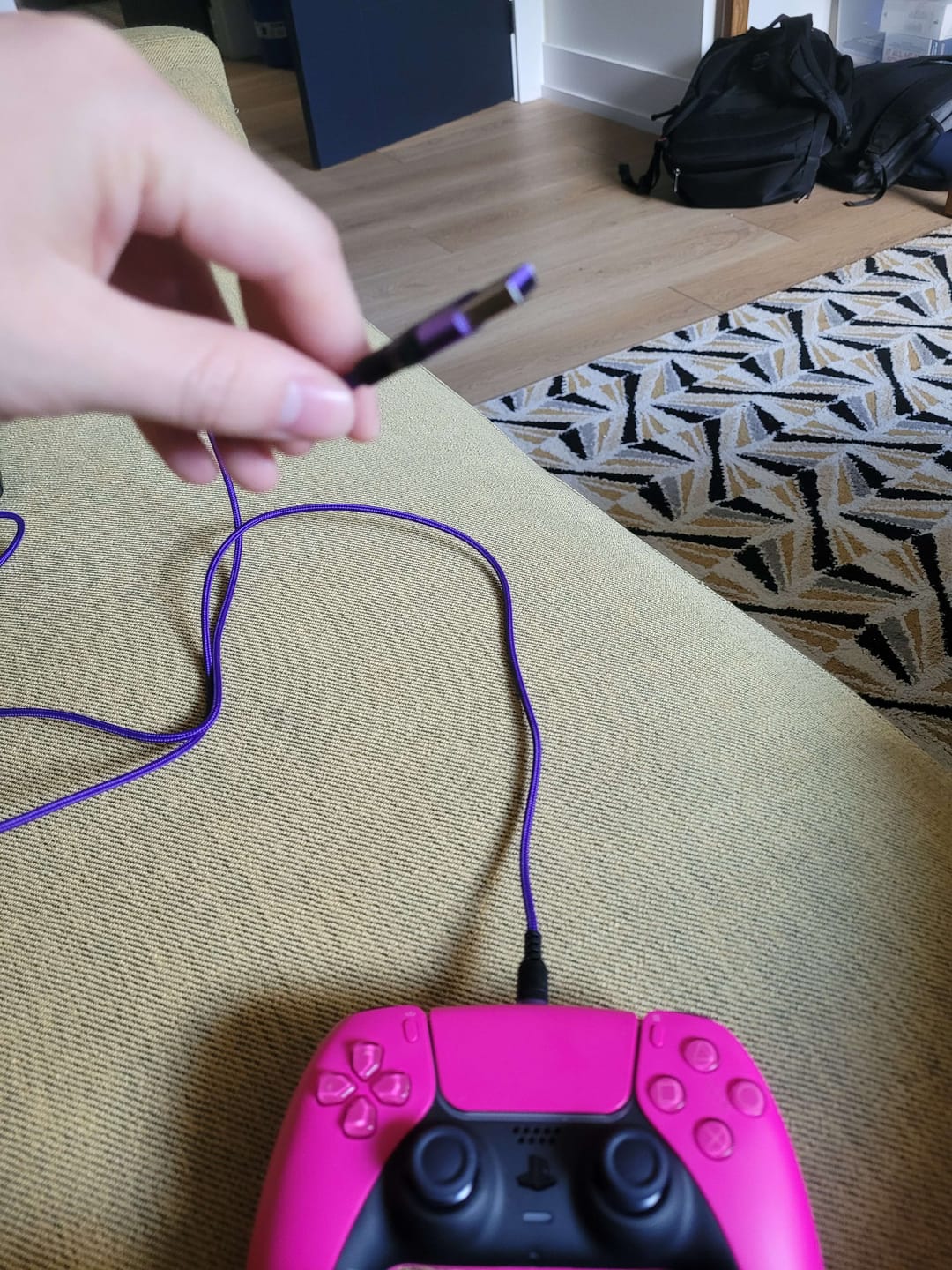 Customer photo review of USB Type-C 高速充電ケーブル 2m【Void Gamingオリジナル】