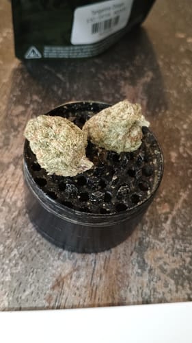 Customer photo review of Dealer's Choice