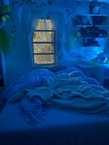 Customer photo review of Princess Dreams Bedding Set
