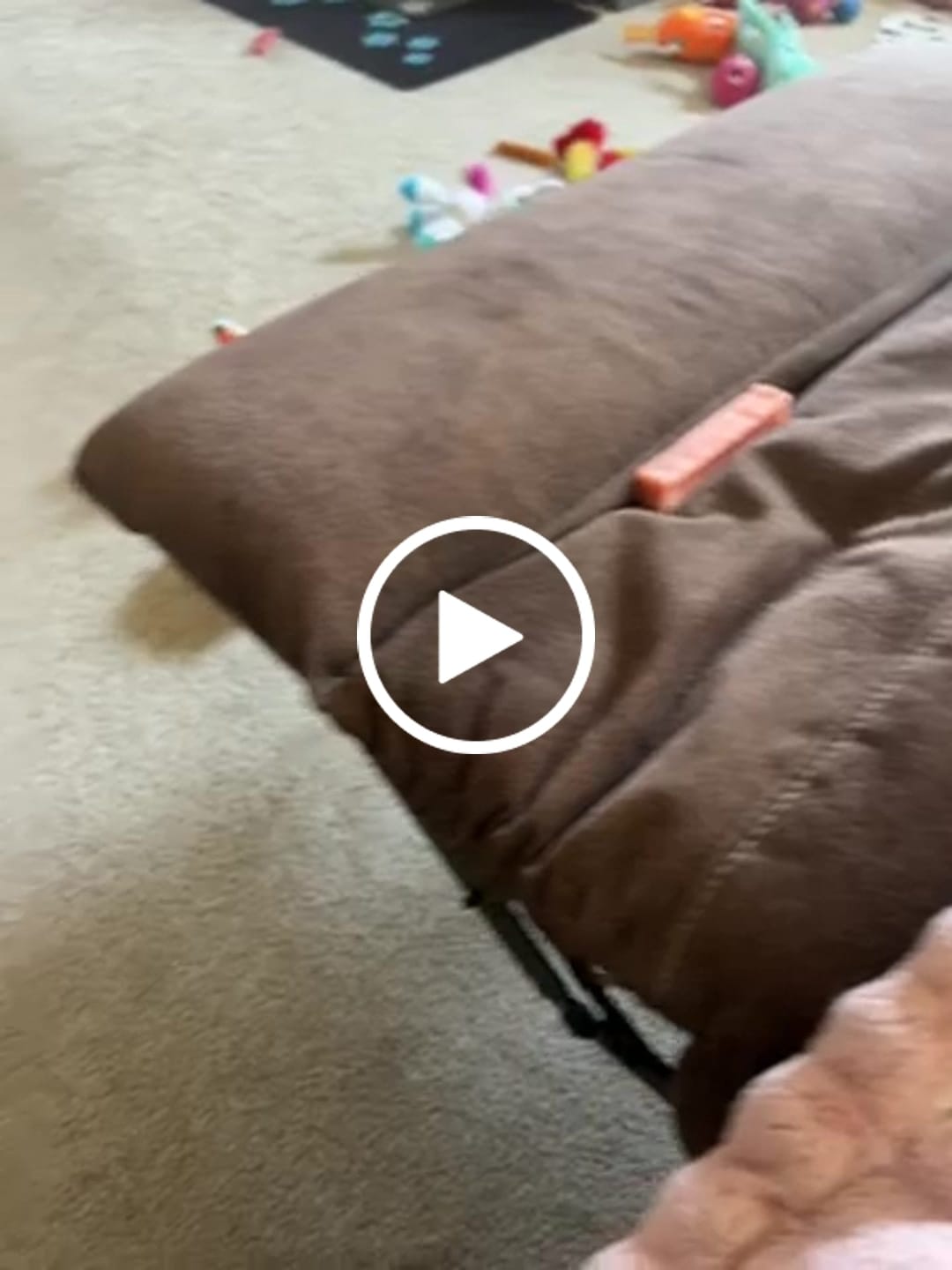 Customer video review of Strawberry Yak Chews