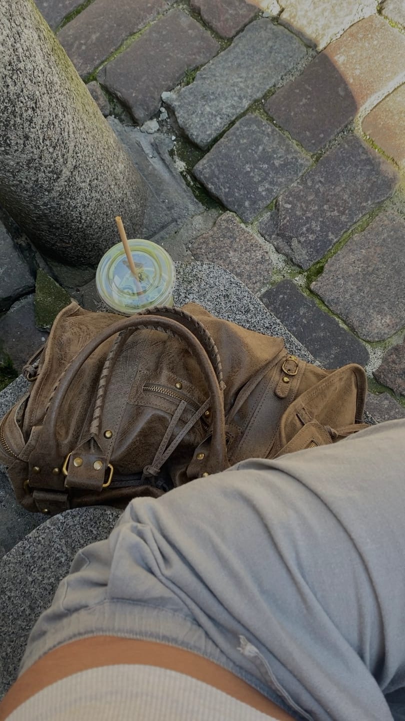 Customer photo review of It girl bag taupe