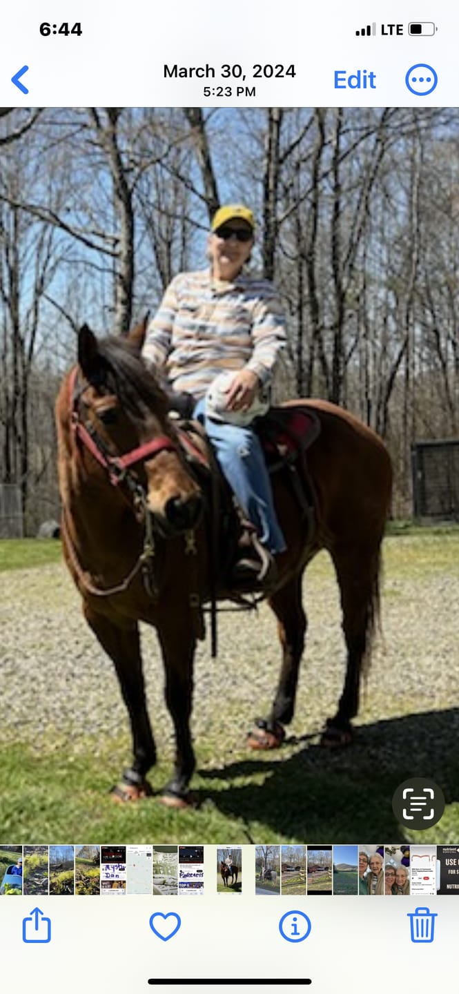 Customer photo review of Renegade® Viper Shield™ Hoof Boots - Arizona Copper