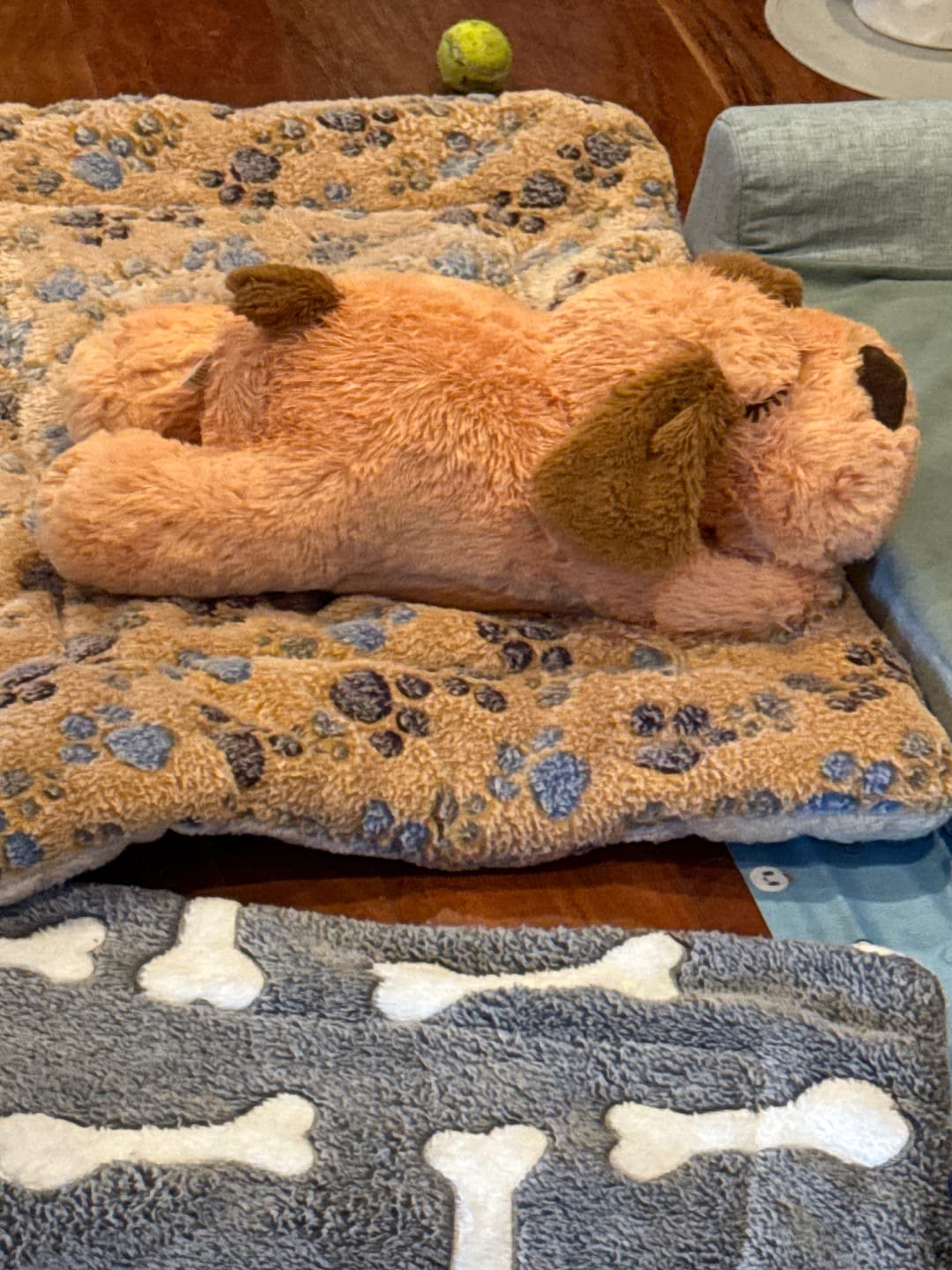 Customer photo review of Peluche Antiestrés para Mascotas
