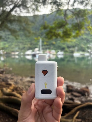 Customer photo review of Live Rosin HONOLULU HAZE  SATIVA Torch THC-A Disposable Vape 5g