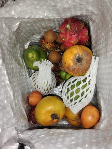 Customer photo review of Tropical Variety Box