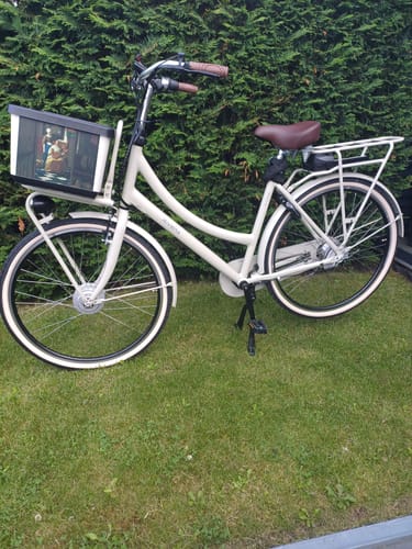Customer photo review of E-Cargo N7