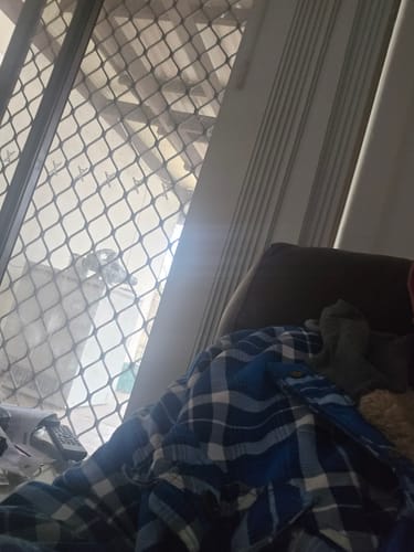 Customer photo review of Lumber Jacks Hoodie