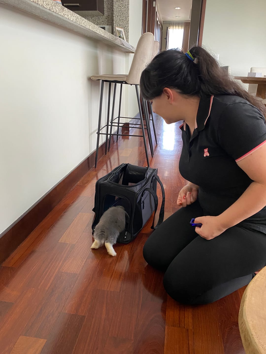 Customer photo review of All-Black Pet Travel Carrier