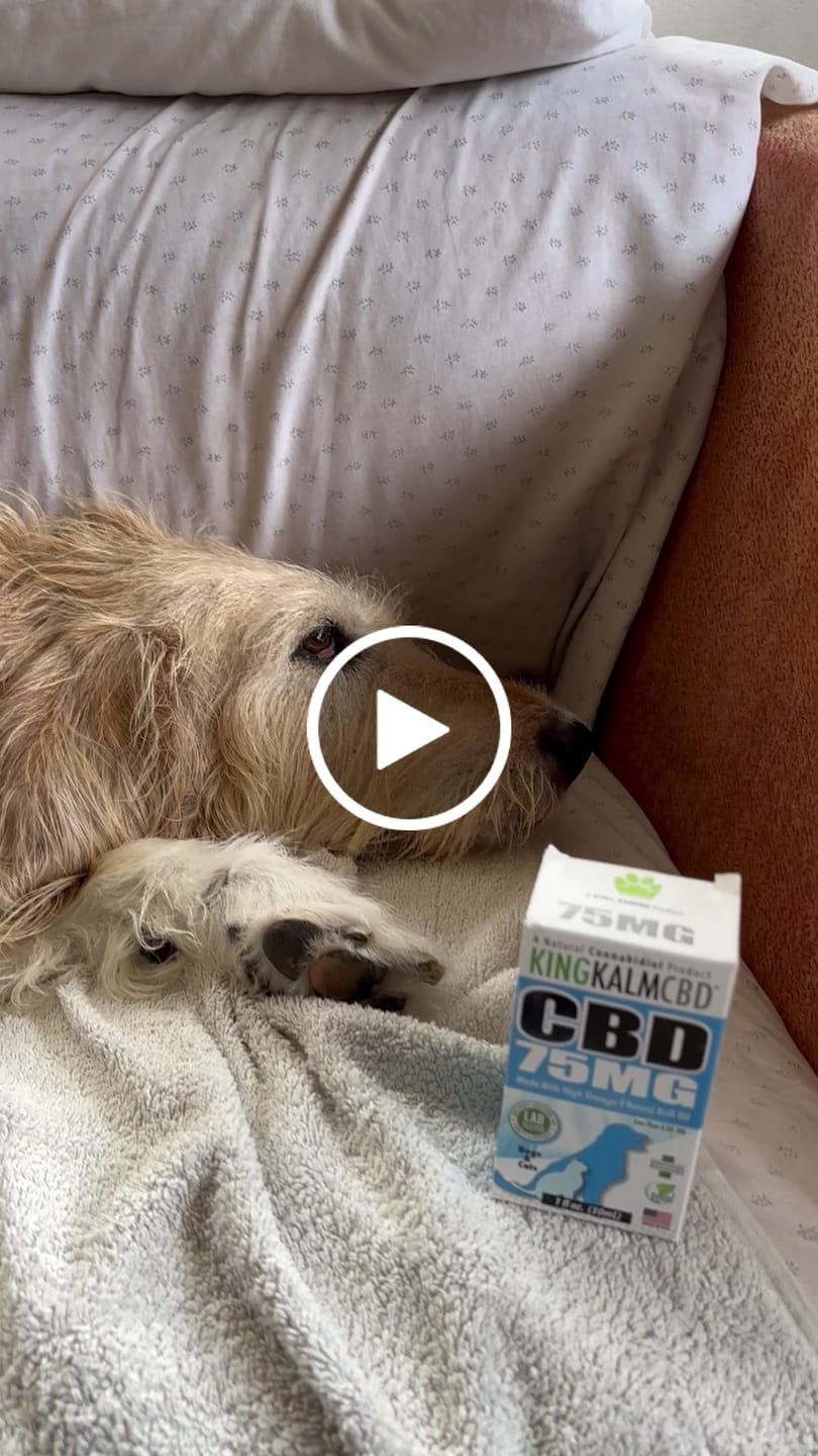 Customer video review of KING KALM CBD 75mg - Cat & Small Dog Formula  20lbs or less