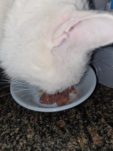 undefined review of Golosina Cremosa Para Gatos – Pack x5 Sobres (5 snacks por sobre) image 1 out of 2