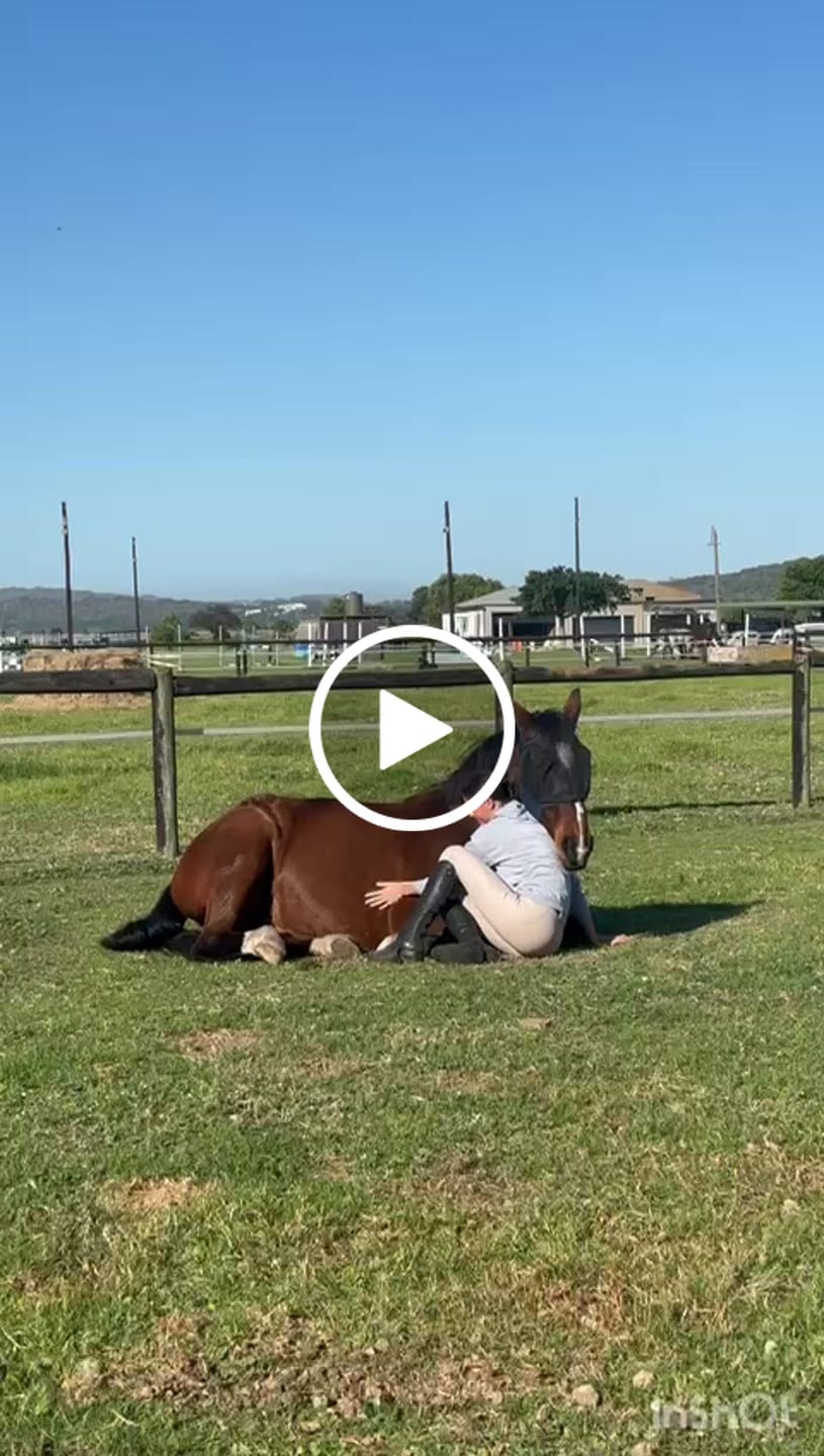 Customer video review of Moody Master (Natural Calmness, Focus & Gut Support for Horses)
