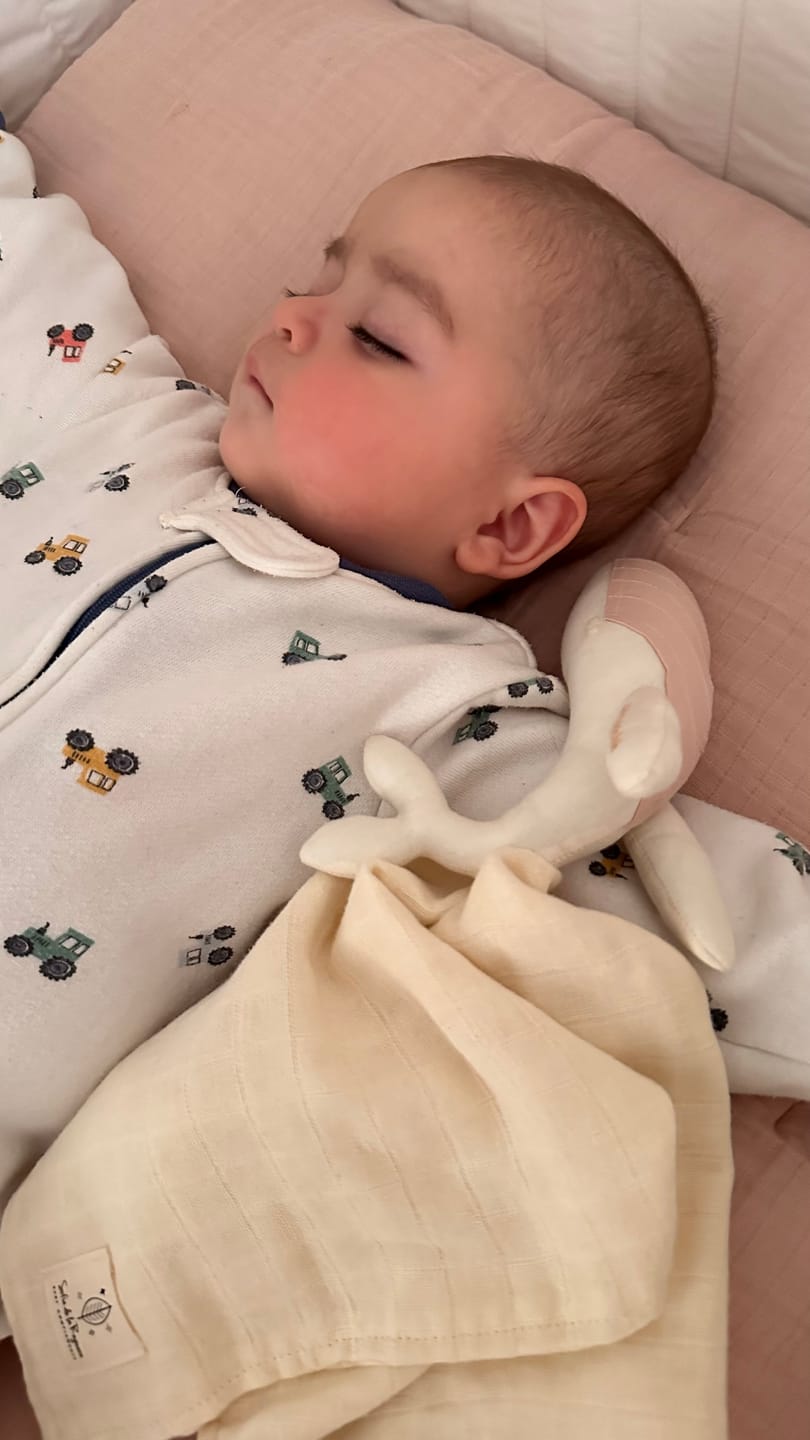 Customer photo review of Tuto Apego ✦ AURA Ballena