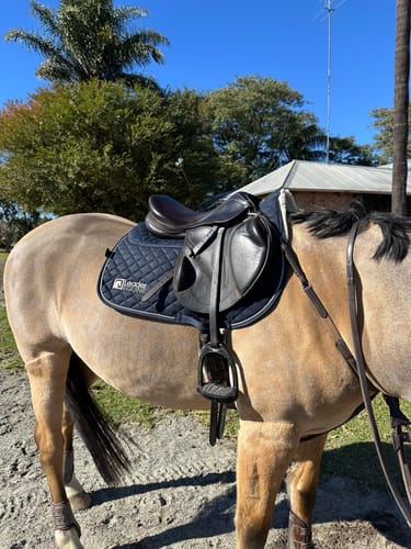Customer photo review of LE Performance Jump Saddle Pad with Shims
