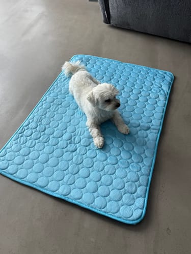 Customer photo review of Pfotenfrost Kühlmatte