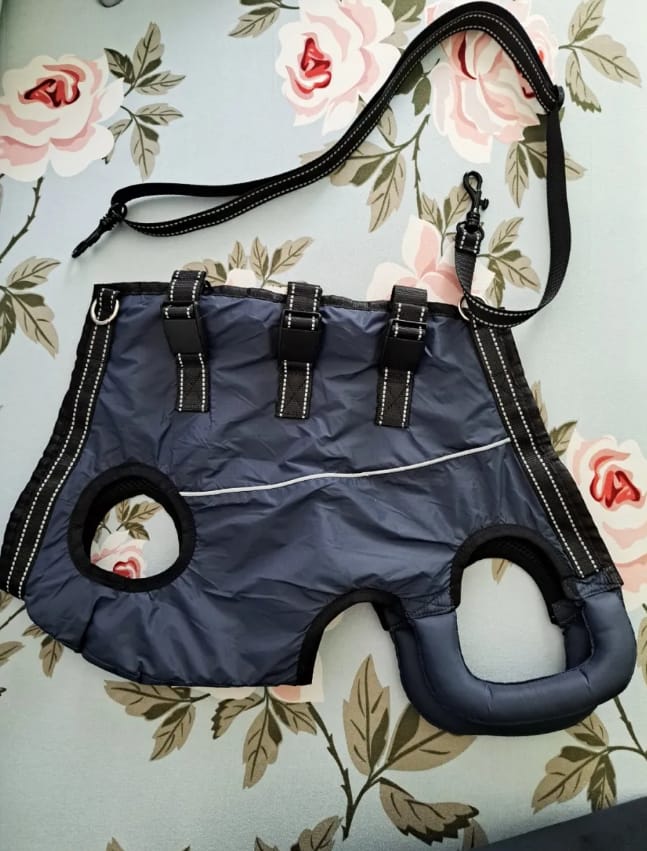 Customer photo review of PawLift - Ondersteunend Tilharnas Hond