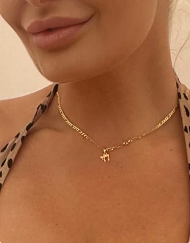 Customer photo review of Chai Chain Necklace