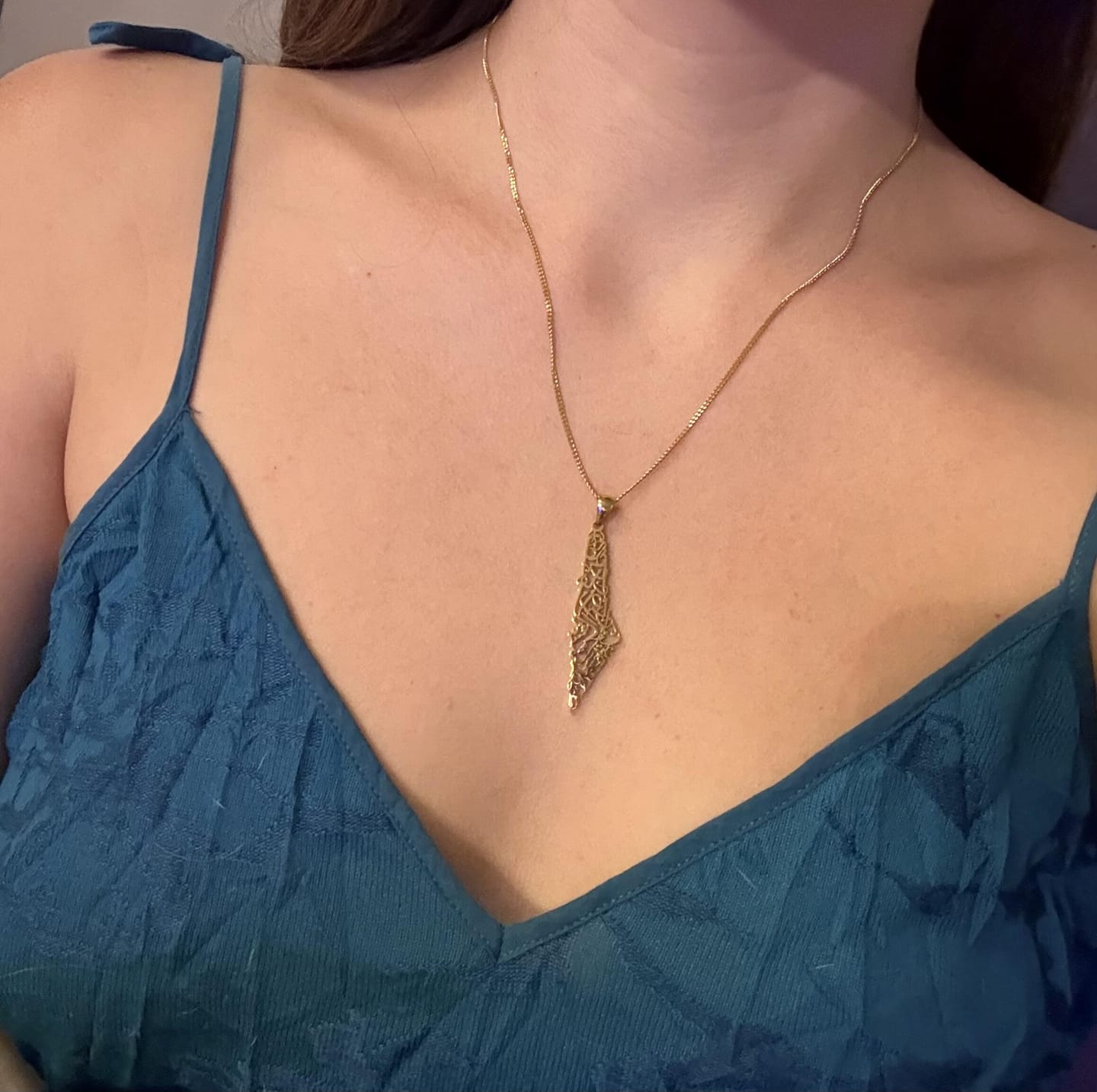 Customer photo review of Palestine Calligraphy Map Necklace