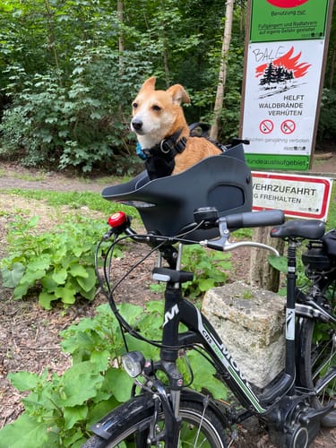 Customer photo review of Kvisp Dog Bike Carrier