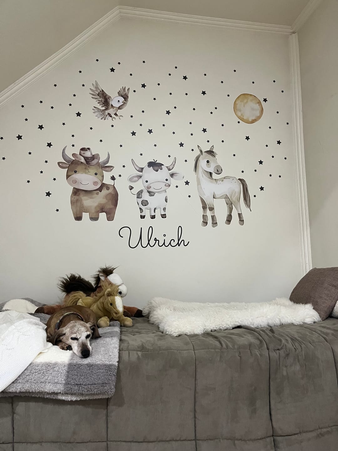Customer photo review of Animalitos del oeste