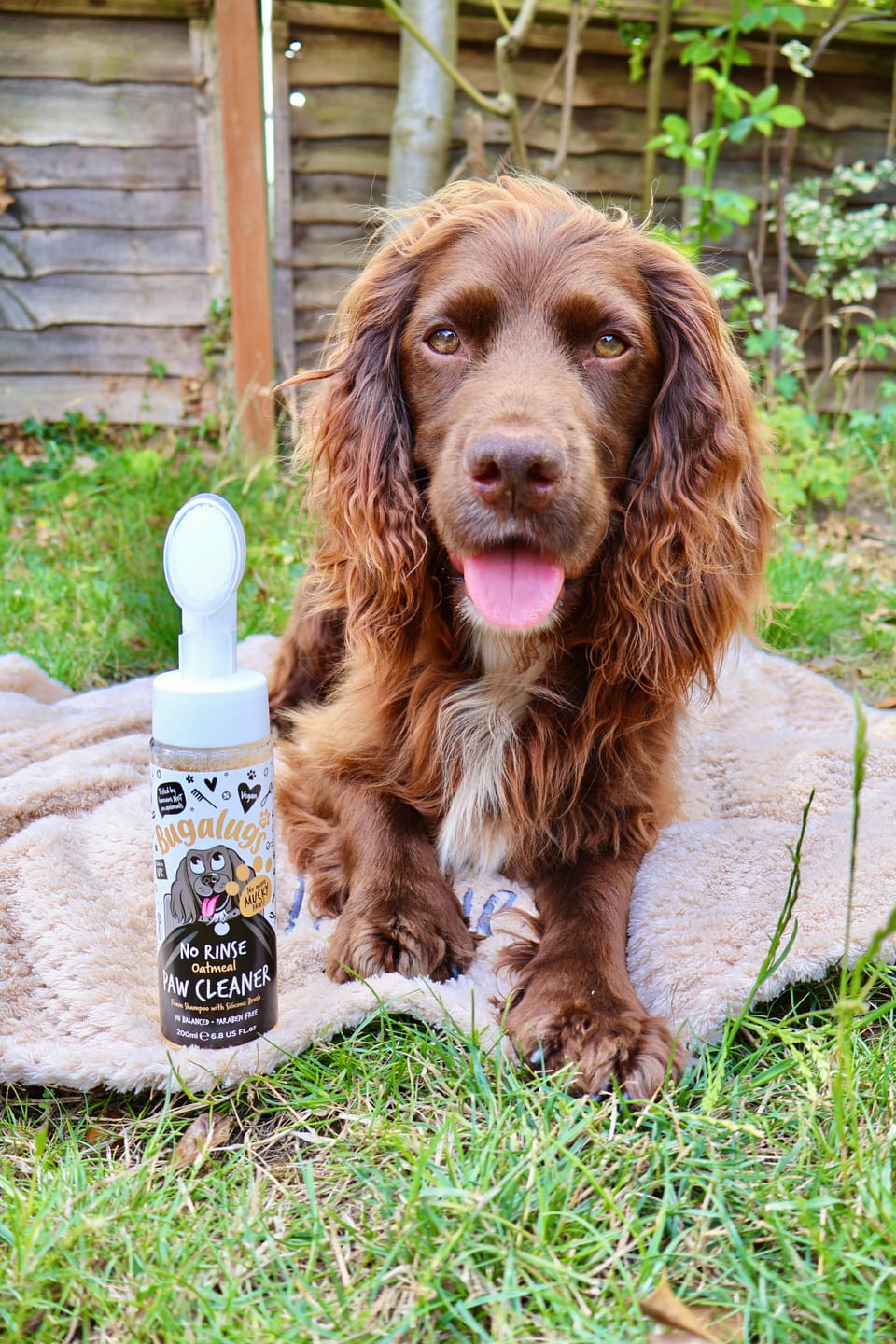 Customer photo review of Oatmeal No Rinse Paw Cleaner for Dogs & Cats