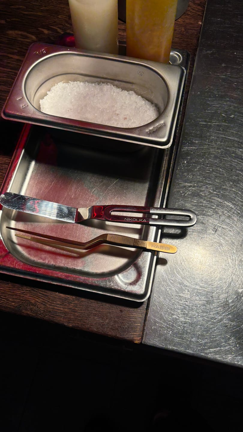 Customer photo review of 17cm/6.9" Offset SuperFine Tweezers