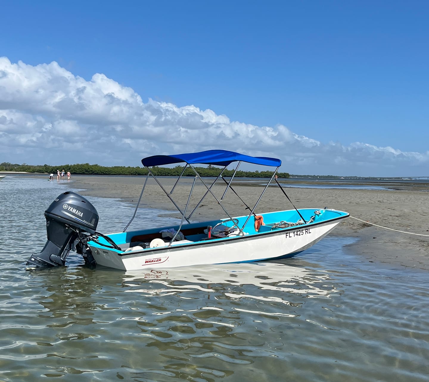 Customer photo review of Stainless Bimini Top - Fits Boston Whaler 13, 15, 17 Classics And 130 Sport