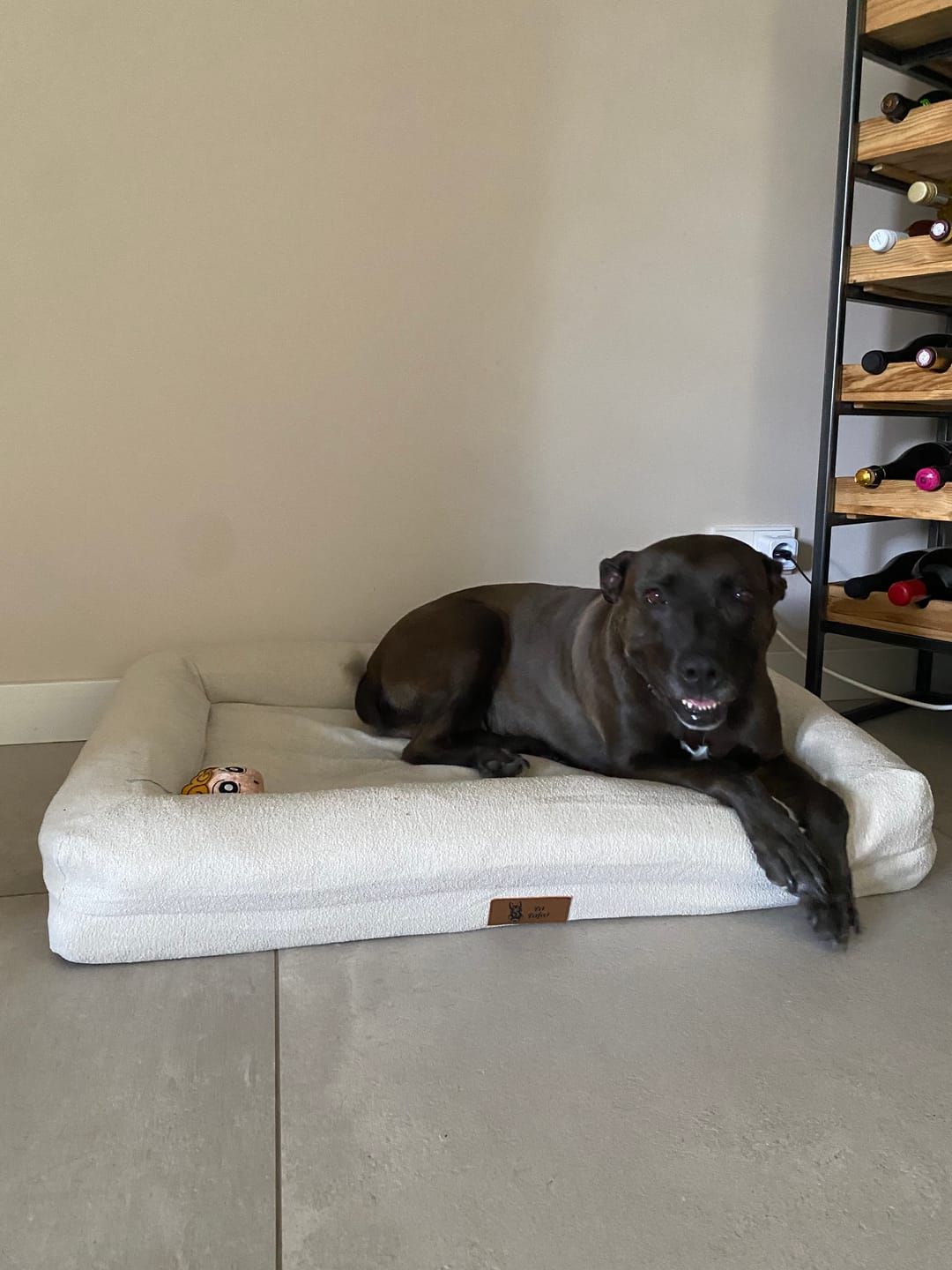 Customer photo review of Pet Perfect Orthopedische Hondenmand