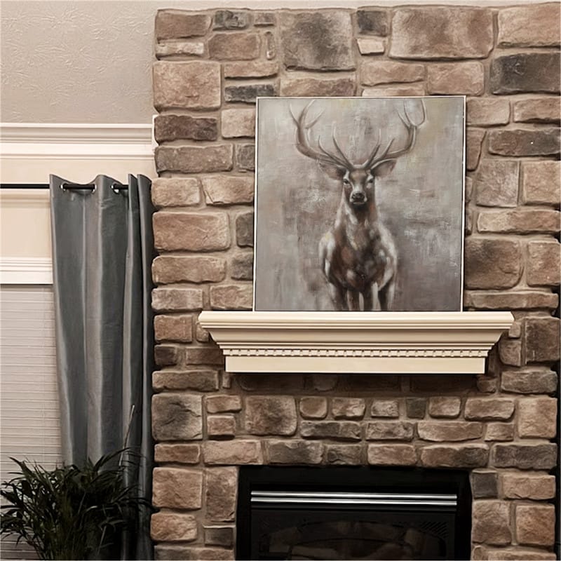 Customer photo review of Animal Canvas Art Painting #AC002