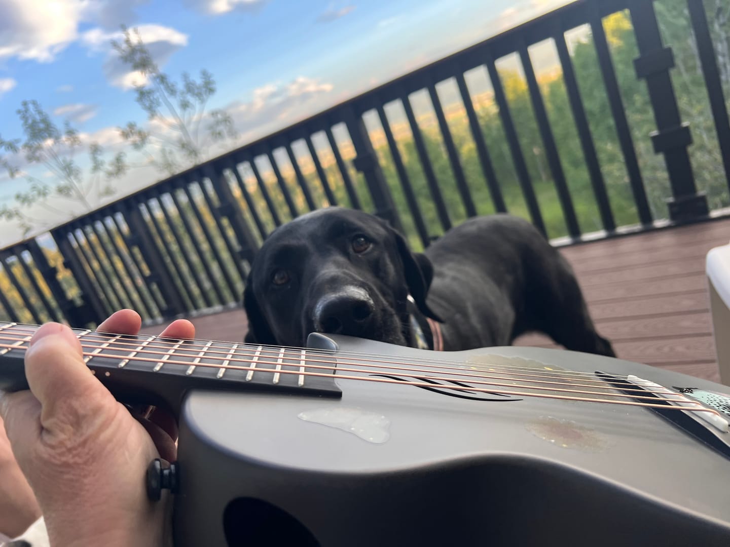 Customer photo review of Nova Go Mini