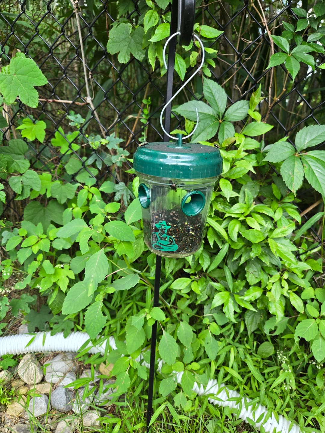 Customer photo review of Mosquito TNT 2.0