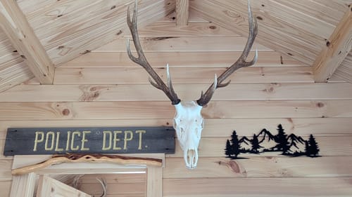 Customer photo review of Evergreen Peaks Wall Art