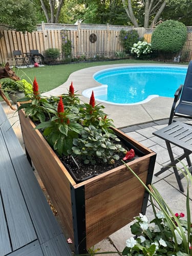 Customer photo review of 18" x 48" Raised Garden Bed - 30" TALL