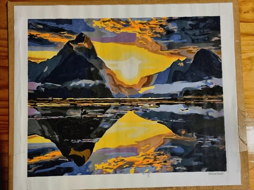 Customer photo review of Milford Sound