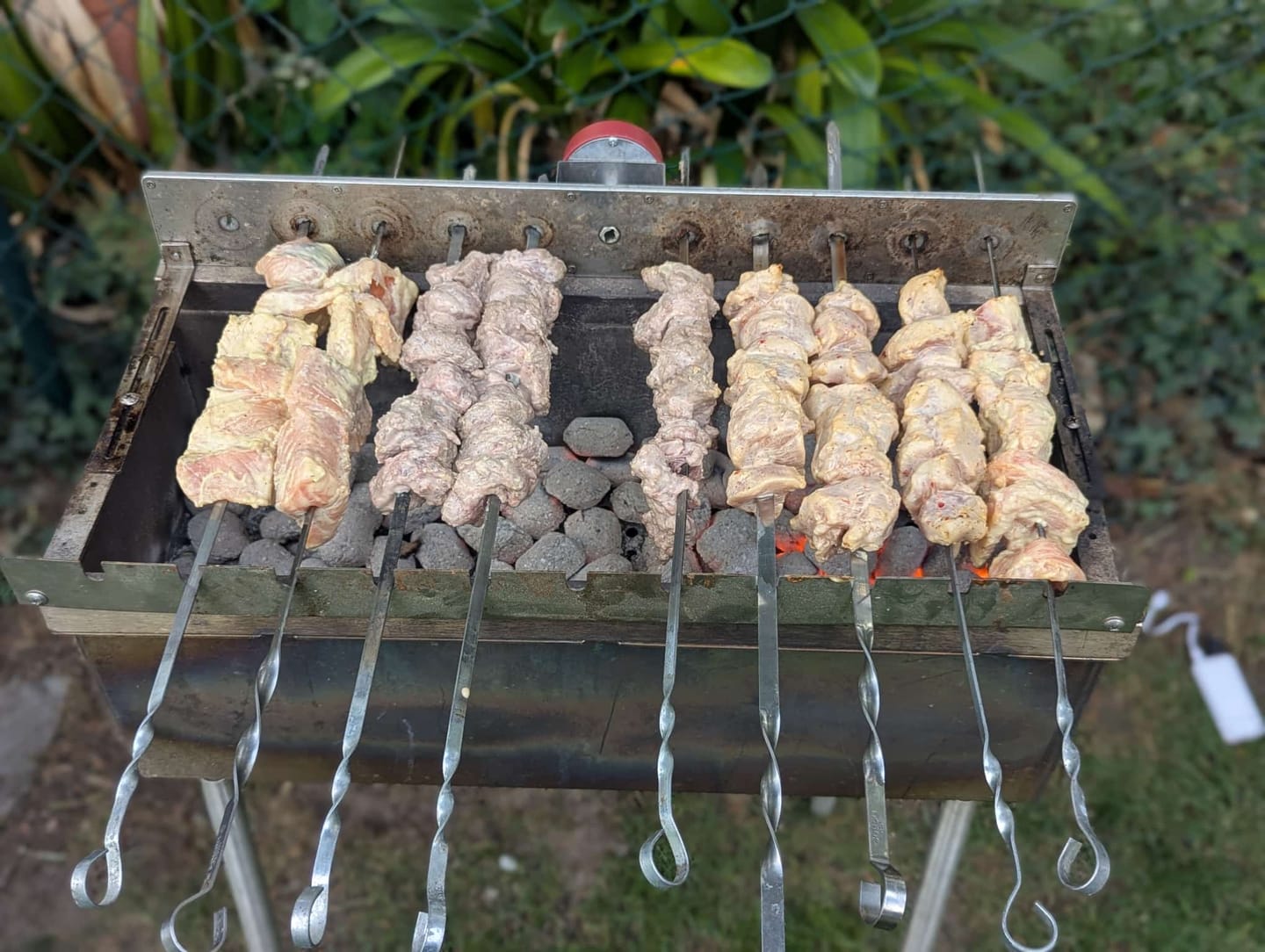 Customer photo review of Lachs-Schaschlik – zart mariniert & besonders edel | mySchaschlik