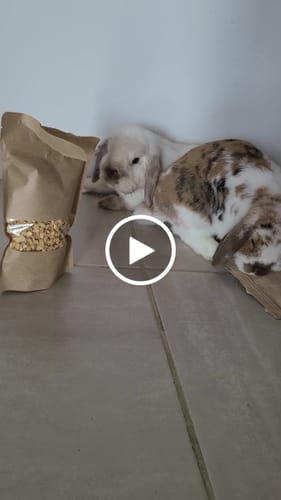 Customer video review of Balle Gourmandise Express