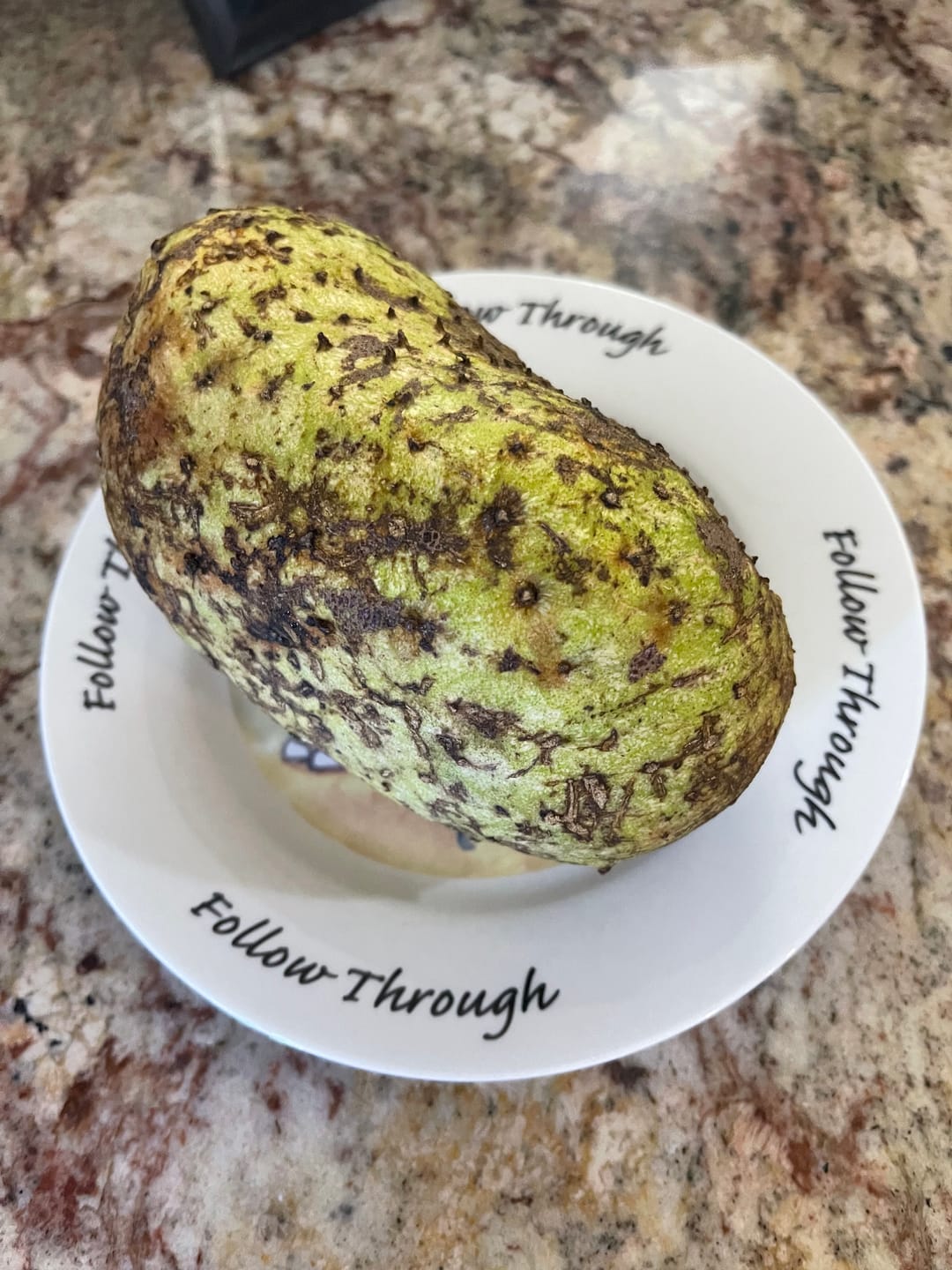 Customer photo review of Premium Soursop (Guanabana)