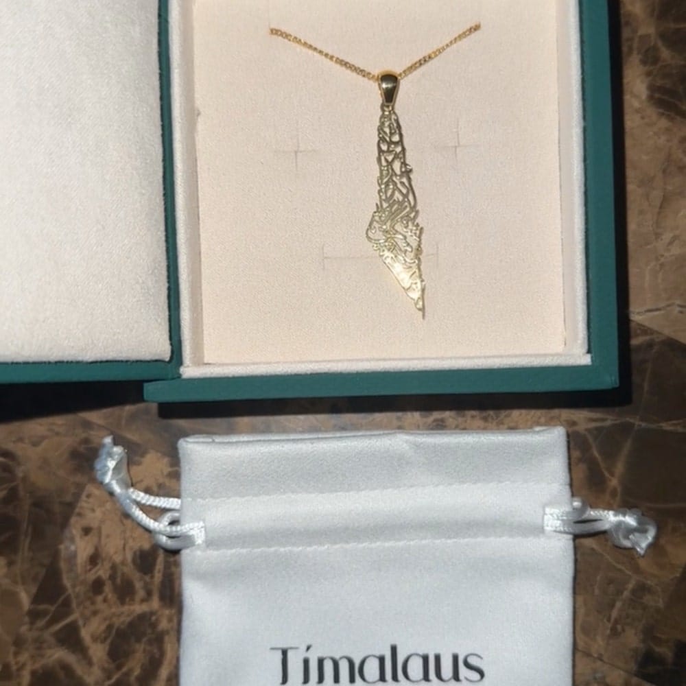 Customer photo review of Palestine Calligraphy Map Necklace