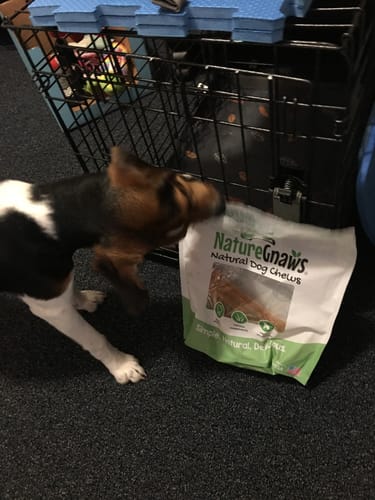 Customer photo review of USA Turkey Tendons