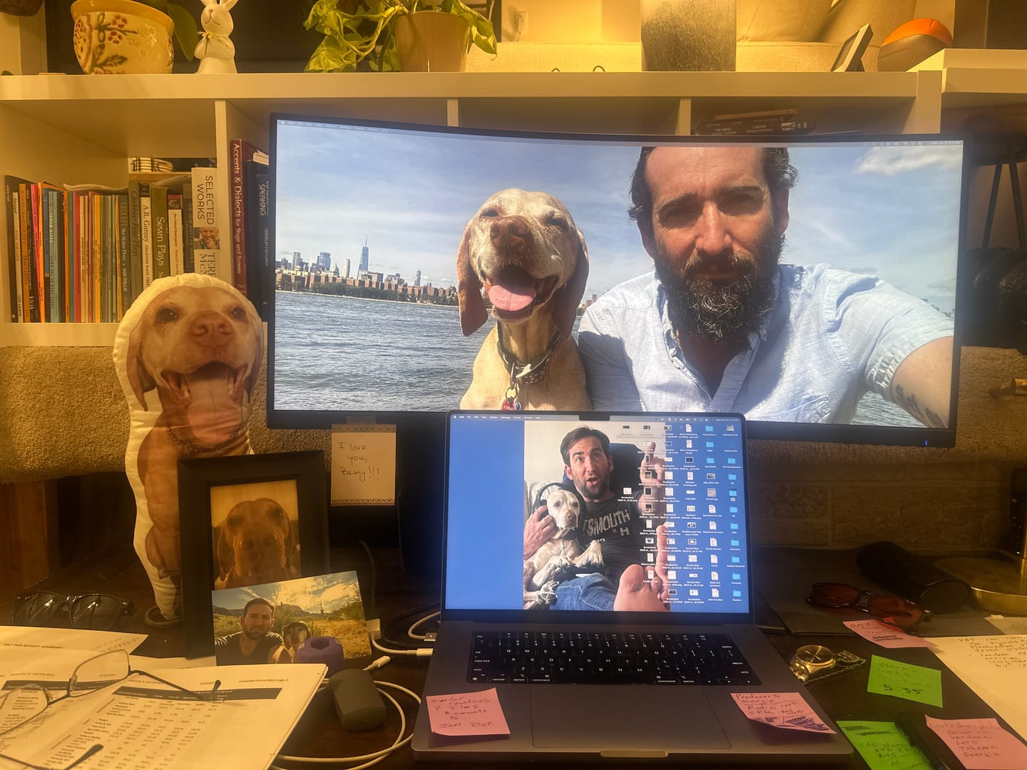 Customer photo review of Custom Dog Shaped Memorial Pillow for Pet Owners from Your Pet Picture