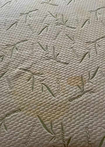 Customer photo review of NuvoDreams™ Waterproof Bamboo Mattress Protector